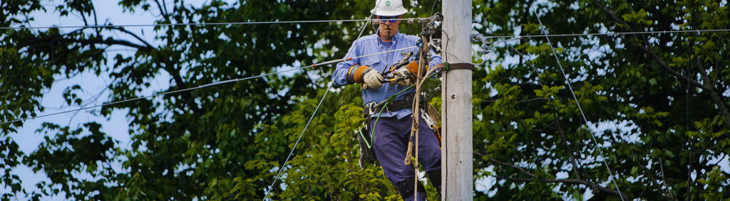 Electrical Cooperatives and Adams Electric