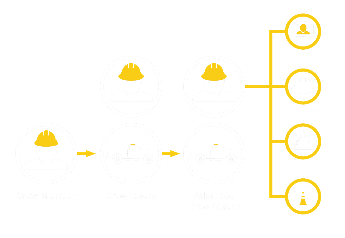 Career track overview
